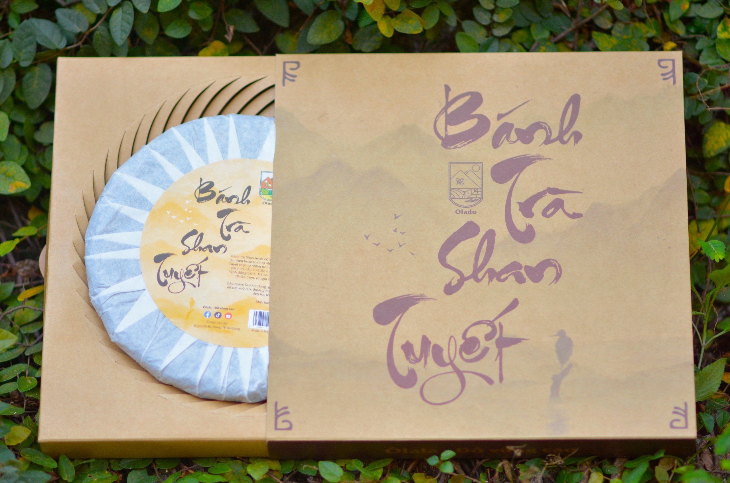 Bánh Trà Phổ Nhĩ Sống