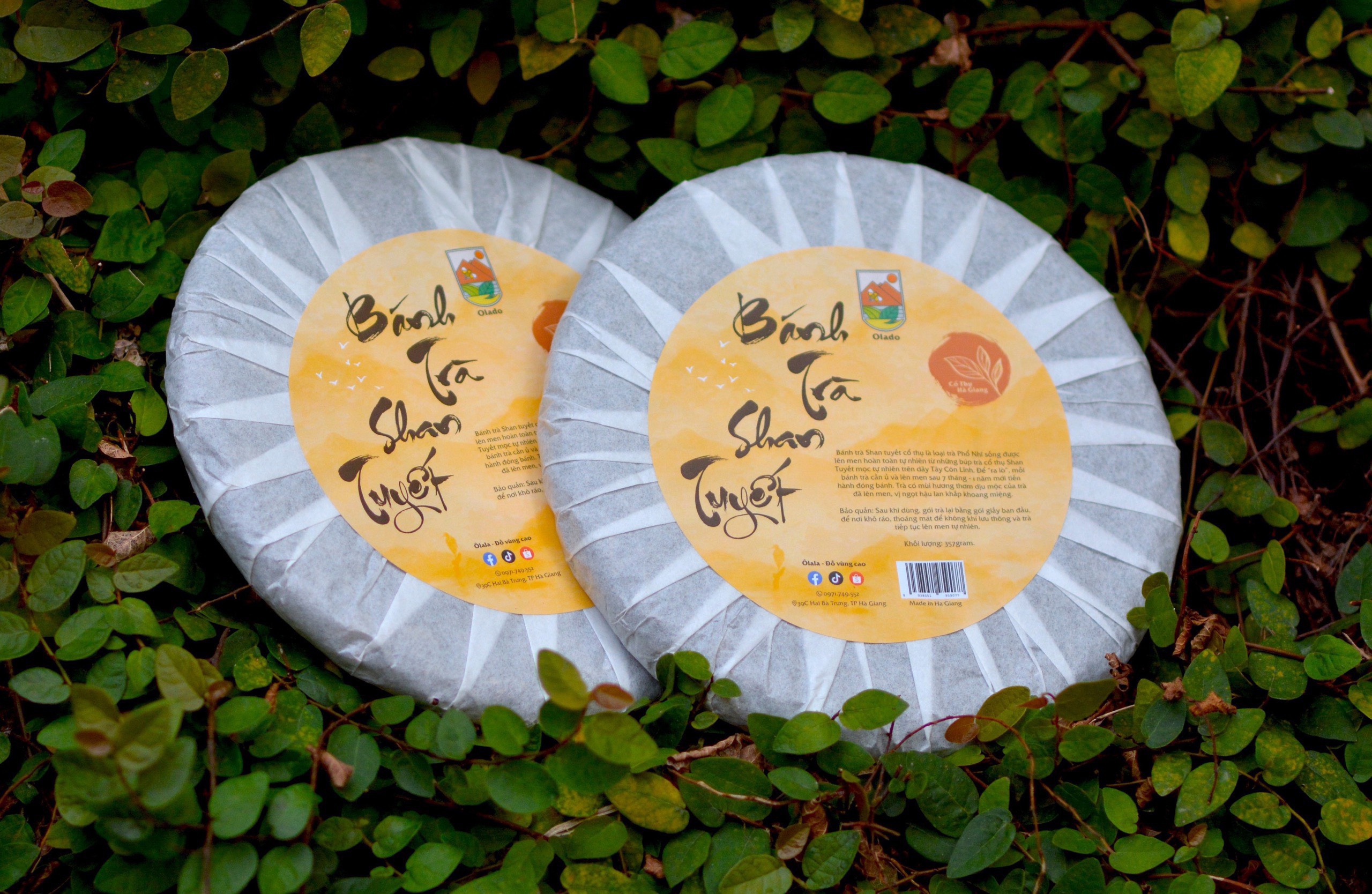 Bánh Trà Phổ Nhĩ Sống - Ảnh 2