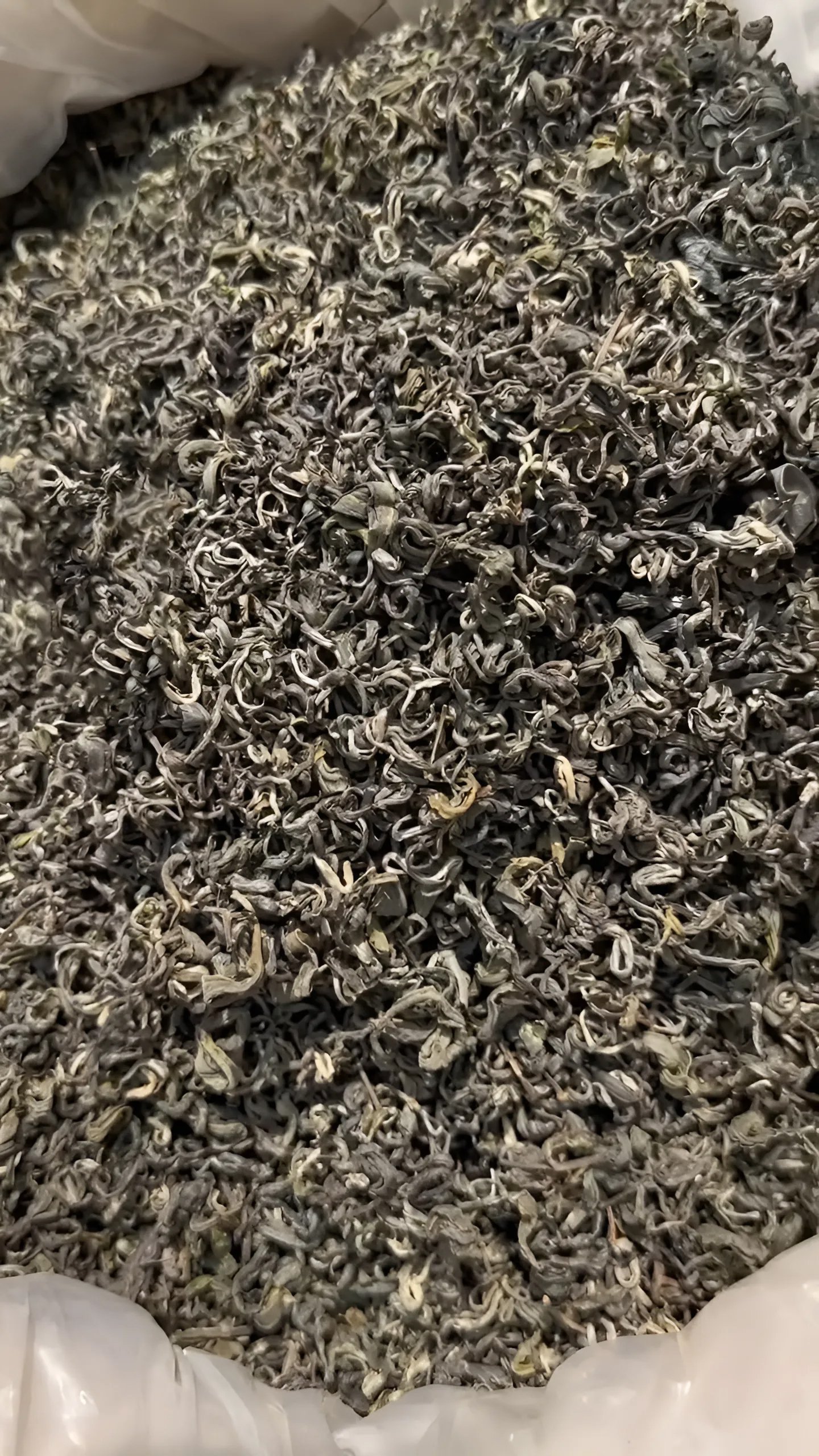 Trà Shan Tuyết Cổ Thụ 1 Tôm 2 Lá ( Lục Trà ) - Ảnh 4